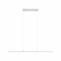Luminaires Paul Neuhaus Éclairage Led|Suspension Paul Neuhaus PURE-LITE LED Acier inoxydable, 1 lumière