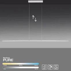Luminaires Paul Neuhaus Éclairage Led|Suspension Paul Neuhaus PURE-LITE LED Acier inoxydable, 1 lumière