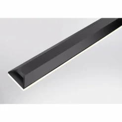 Luminaires Paul Neuhaus Éclairage Led|Suspension Paul Neuhaus PURE-LITE LED Anthracite, 1 lumière