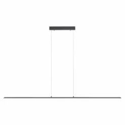 Luminaires Paul Neuhaus Éclairage Led|Suspension Paul Neuhaus PURE-LITE LED Anthracite, 1 lumière
