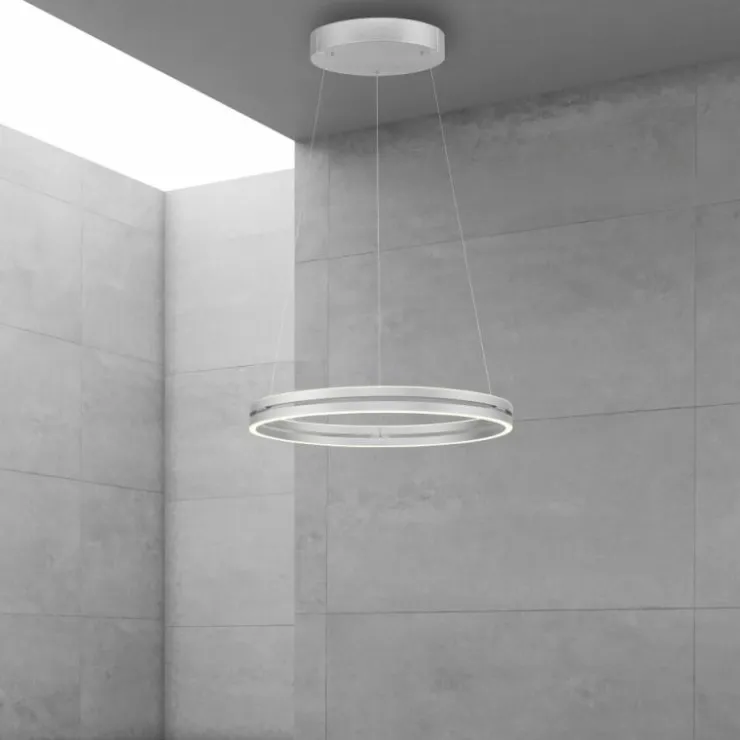 Luminaires Paul Neuhaus Éclairage Led|Suspension Paul Neuhaus PURE E-LOOP LED Argenté, 2 lumières, Télécommandes