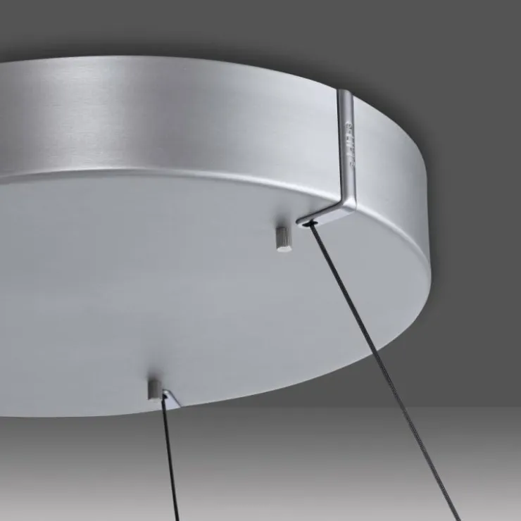 Luminaires Paul Neuhaus Éclairage Led|Suspension Paul Neuhaus PURE E-LOOP LED Argenté, 2 lumières, Télécommandes