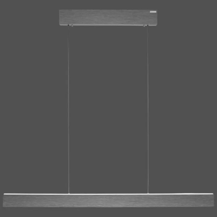 Luminaires Paul Neuhaus Éclairage Led|Suspension Paul Neuhaus PURE E-MOTION LED Gris, 1 lumière, Télécommandes