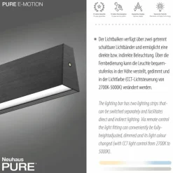 Luminaires Paul Neuhaus Éclairage Led|Suspension Paul Neuhaus PURE E-MOTION LED Gris, 1 lumière, Télécommandes