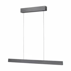 Luminaires Paul Neuhaus Éclairage Led|Suspension Paul Neuhaus PURE E-MOTION LED Gris, 1 lumière, Télécommandes