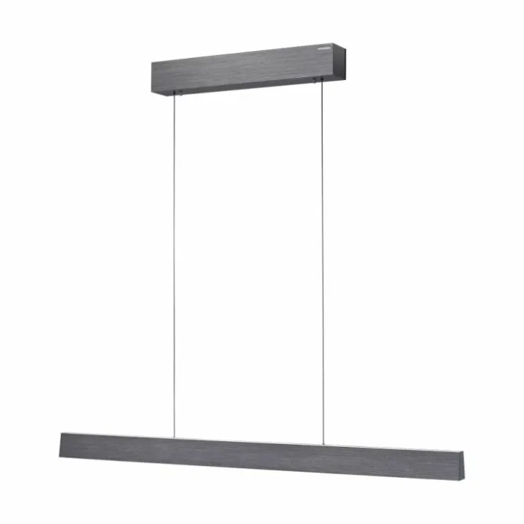 Luminaires Paul Neuhaus Éclairage Led|Suspension Paul Neuhaus PURE E-MOTION LED Gris, 1 lumière, Télécommandes