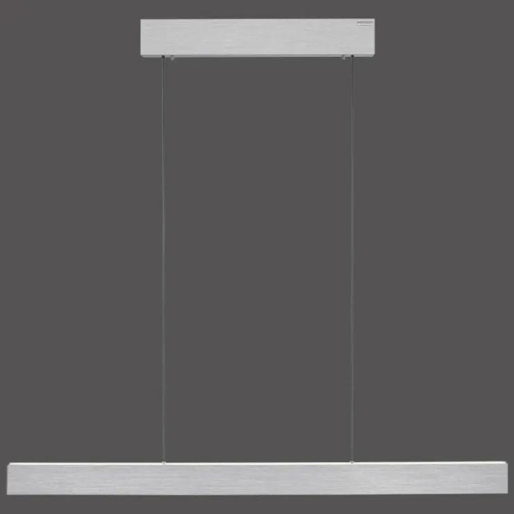 Luminaires Paul Neuhaus Éclairage Led|Suspension Paul Neuhaus PURE E-MOTION LED Argenté, 1 lumière, Télécommandes
