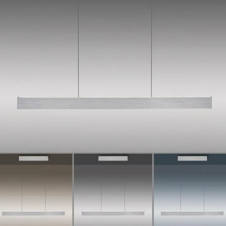 Luminaires Paul Neuhaus Éclairage Led|Suspension Paul Neuhaus PURE E-MOTION LED Argenté, 1 lumière, Télécommandes