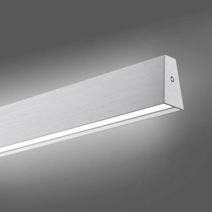 Luminaires Paul Neuhaus Éclairage Led|Suspension Paul Neuhaus PURE E-MOTION LED Argenté, 1 lumière, Télécommandes