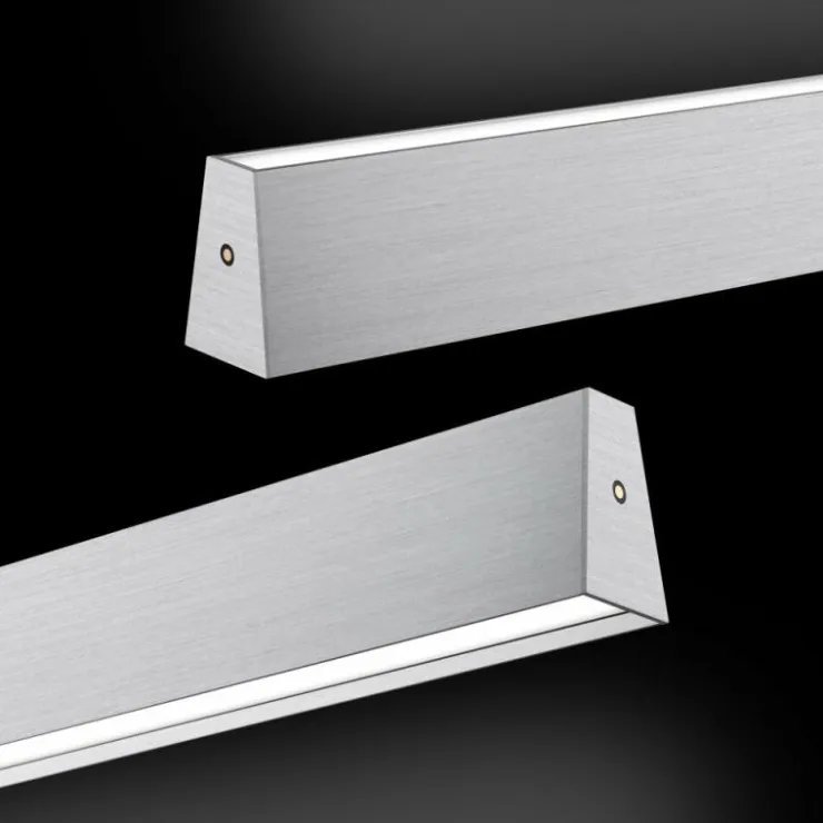 Luminaires Paul Neuhaus Éclairage Led|Suspension Paul Neuhaus PURE E-MOTION LED Argenté, 1 lumière, Télécommandes