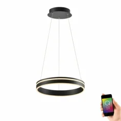 Suspension Paul Neuhaus Q-VITO LED Anthracite, 1 lumière, Télécommandes