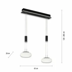 Suspension Paul Neuhaus Q-ETIENNE LED Noir, 2 lumières, Télécommandes