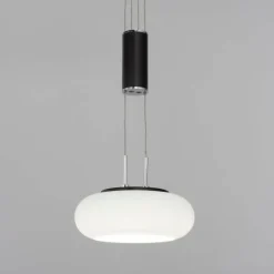 Suspension Paul Neuhaus Q-ETIENNE LED Noir, 2 lumières, Télécommandes
