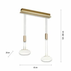 Suspension Paul Neuhaus Q-ETIENNE LED Laiton, 2 lumières, Télécommandes