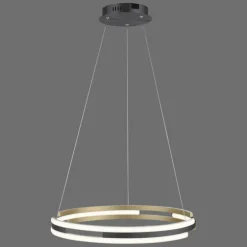 Suspension Paul Neuhaus Q-BELUGA LED Or, 1 lumière, Télécommandes