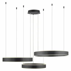Luminaires Paul Neuhaus Suspensions|Suspension Paul Neuhaus SCULLI LED Noir, 2 lumières