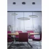 Luminaires Paul Neuhaus Suspensions|Suspension Paul Neuhaus TITUS LED Anthracite, 1 lumière