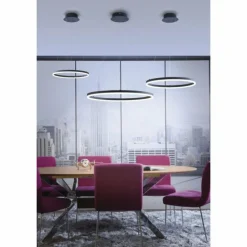 Luminaires Paul Neuhaus Suspensions|Suspension Paul Neuhaus TITUS LED Anthracite, 1 lumière