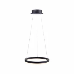 Luminaires Paul Neuhaus Suspensions|Suspension Paul Neuhaus TITUS LED Anthracite, 1 lumière
