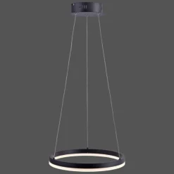 Luminaires Paul Neuhaus Suspensions|Suspension Paul Neuhaus TITUS LED Anthracite, 1 lumière