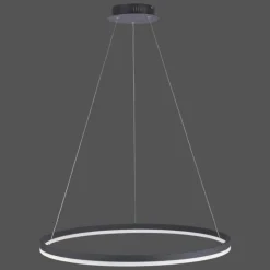 Luminaires Paul Neuhaus Éclairage Led|Suspension Paul Neuhaus TITUS LED Anthracite, 1 lumière