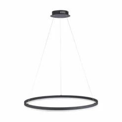 Luminaires Paul Neuhaus Éclairage Led|Suspension Paul Neuhaus TITUS LED Anthracite, 1 lumière