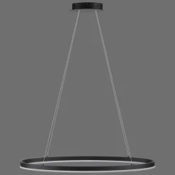 Luminaires Paul Neuhaus Éclairage Led|Suspension Paul Neuhaus TITUS LED Anthracite, 1 lumière