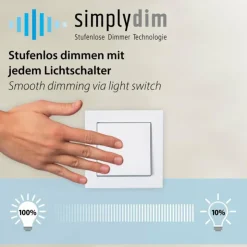 Luminaires Paul Neuhaus Éclairage Led|Suspension Paul Neuhaus TITUS LED Anthracite, 1 lumière
