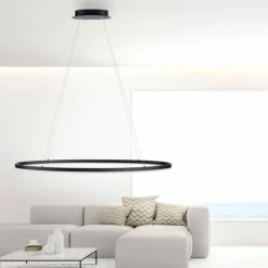 Luminaires Paul Neuhaus Éclairage Led|Suspension Paul Neuhaus TITUS LED Anthracite, 1 lumière