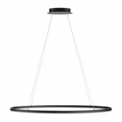 Luminaires Paul Neuhaus Éclairage Led|Suspension Paul Neuhaus TITUS LED Anthracite, 1 lumière