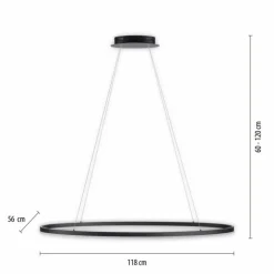 Luminaires Paul Neuhaus Éclairage Led|Suspension Paul Neuhaus TITUS LED Anthracite, 1 lumière