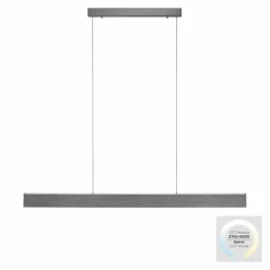 Luminaires Paul Neuhaus Suspensions|Suspension Paul-Neuhaus NANIA LED Gris, 1 lumière