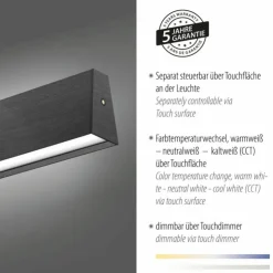Luminaires Paul Neuhaus Suspensions|Suspension Paul-Neuhaus NANIA LED Gris, 1 lumière