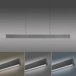 Luminaires Paul Neuhaus Suspensions|Suspension Paul-Neuhaus NANIA LED Gris, 1 lumière