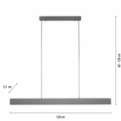 Luminaires Paul Neuhaus Suspensions|Suspension Paul-Neuhaus NANIA LED Gris, 1 lumière