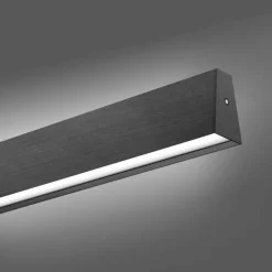 Luminaires Paul Neuhaus Suspensions|Suspension Paul-Neuhaus NANIA LED Gris, 1 lumière