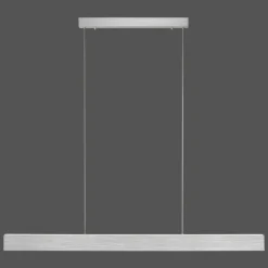 Luminaires Paul Neuhaus Suspensions|Suspension Paul-Neuhaus NANIA LED Argenté, 1 lumière