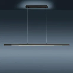 Suspension Paul-Neuhaus Q-ARIAN LED Anthracite, 4 lumières, Télécommandes