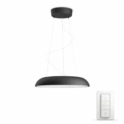 Suspension Philips Hue Ambiance White Amaze LED Noir, 1 lumière, Télécommandes