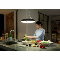 Suspension Philips Hue Ambiance White Amaze LED Noir, 1 lumière, Télécommandes