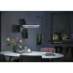 Suspension Philips Hue Being LED Noir, 1 lumière, Télécommandes