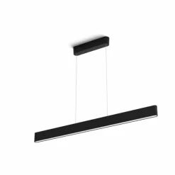 Suspension Philips Hue White & Color Ambiance Ensis LED Noir, 2 lumières, Changeur de couleurs