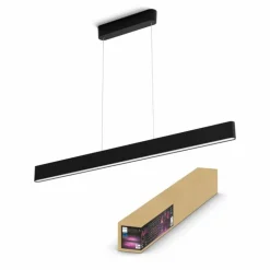 Suspension Philips Hue White & Color Ambiance Ensis LED Noir, 2 lumières, Changeur de couleurs