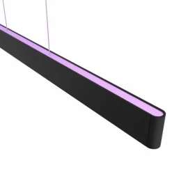 Suspension Philips Hue White & Color Ambiance Ensis LED Noir, 2 lumières, Changeur de couleurs