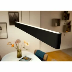 Suspension Philips Hue White & Color Ambiance Ensis LED Noir, 2 lumières, Changeur de couleurs