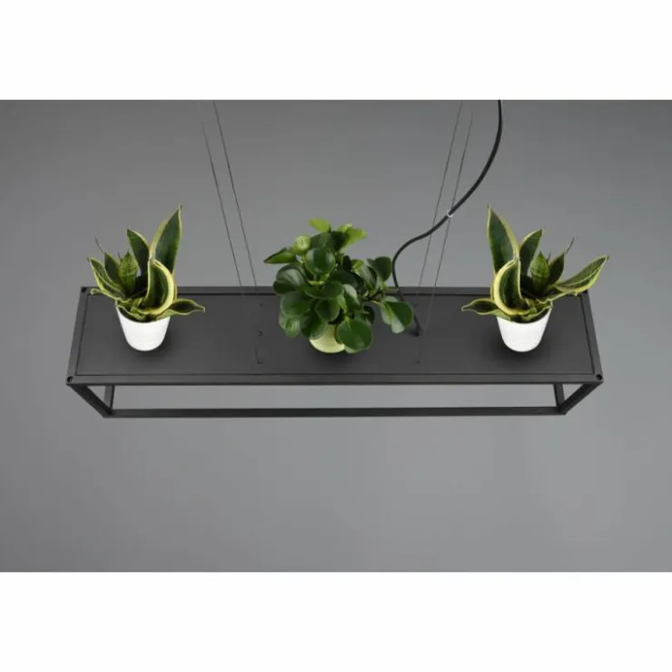 Luminaires Reality Suspensions|Suspension Reality Vito Noir, 4 lumières