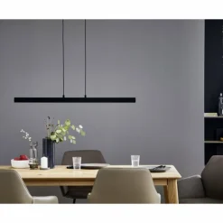SCHÖNER WOHNEN-Kollektion Éclairage Led|Suspension STRIPE LED Noir, 1 lumière