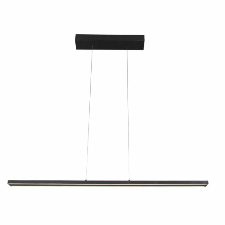 Luminaires Steinhauer Suspensions|Suspension Steinhauer Bande LED Noir, 4 lumières