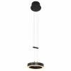 Luminaires Steinhauer Éclairage Led|Suspension Steinhauer Piola LED Noir, 2 lumières