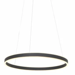 Luminaires Steinhauer Éclairage Led|Suspension Steinhauer Ringlux LED Noir, 2 lumières